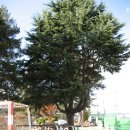 용지중학교 이미지