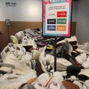 신세계강남스케쳐스 이미지