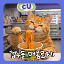 피제이솔루션 | 컵누들 매콤로제 소스 점도 분석 및 다이어트 식단 최적화 가이드