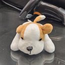 큐티퍼피 | ✿.｡.:* ☆:**:. 𝒸ℴ𝓂ℯ 𝓉ℴ 𝓂ℯ 𝒮ℯ𝓅𝓉ℯ𝓂𝒷ℯ𝓇 .:**:.☆*.:｡.✿