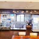 월드컵흑돼지 이미지