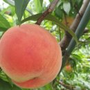 운경농장 이미지