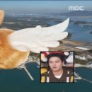 비토하우스펜션 이미지