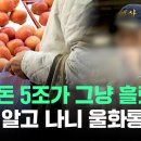 나랏돈 5조 쏟고도 '전국민 고통'…이유 알고 나니 울화통이 이미지