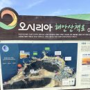 바다옆닭장 | 부산 근교 기장 갈만한 곳 오랑대 공원과 해광사 용왕단 주차