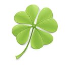 최강아지 이미지