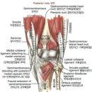 VIP퍼스널 운동센터 이미지