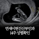 연세이현진산부인과의원 네이버블로그