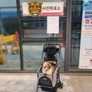 서성경로당 이미지