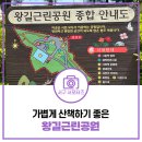 왕길근린공원 이미지