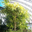 대연수목전시원 이미지