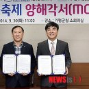 미디어밸류