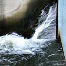 칠곡보사업소 이미지