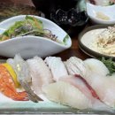 제천 이모카세 실비집 초밥정식 맛집 마카모이