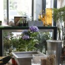 효근농장 이미지