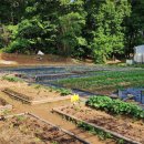 영종농장 이미지