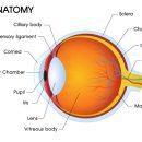 고려안경 이미지