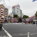 270-2580 | 나리타공항 1터미널 스카이라이너 교환 위치 타는곳 후기