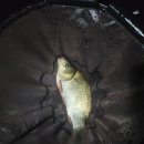 새물낚시터 이미지