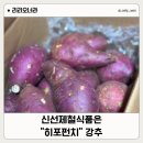 우리식품 | 제철식품 쇼핑몰 "히포펀치" 고구마 내돈내산 후기! 믿고 먹는 우리 집 단골집