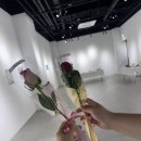 동양디저트공예연합 전시 기획 후기 [손끝으로 빚어내는 계절-빚다,]