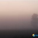 심안경원 이미지