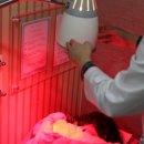 경희용한의원 이미지