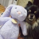 수유오락실 이미지