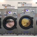 화이트365울산 이미지