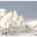 제주 한라산 상고대(풍경2) 이미지