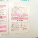 오십천마리나 이미지
