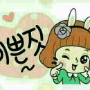 마음퐁당 이미지