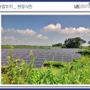 LG테크 태양광발전소 Daum카페