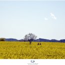 세도 금강변 이미지