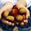 김정태 농장 이미지