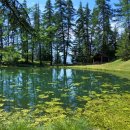 더(The) 느낌 이미지