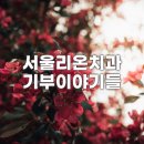 서울리온의원 이미지