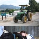 서현목장 이미지