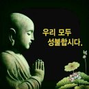 락시 이미지