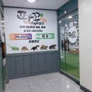 파꼬 | 어린이날선물로 추천하는 파꼬 도마뱀 분양후기!