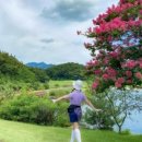 동훈나이스 이미지