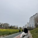 헬로봄 이미지