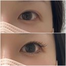 우아래쉬스 이미지