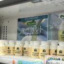 후쿠오카 유후인 [쿠스휴게소] 야마나미요구르트 청귤 카보스 후기