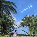 애월의언덕 민박 이미지