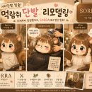 람쥐와도토리 | 머리는 정리하면서 길러야지! 힐링 스칼프컷으로 평택 고덕 [소르아헤어룸]