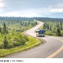 도도한여우
