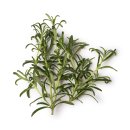 허브이야기 이미지