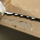 산의실천 | 홀리데이 헤어클립 갖고 싶어서 디올쿠션 산 여자의 후기