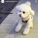 거진 만남의 광장 이미지